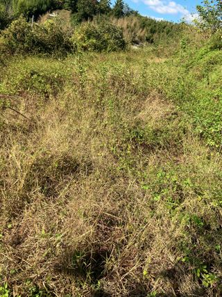 와이에스님의 농지취득규제, 완화 찬성 vs 완화 반대 · 참여글 작성글 사진