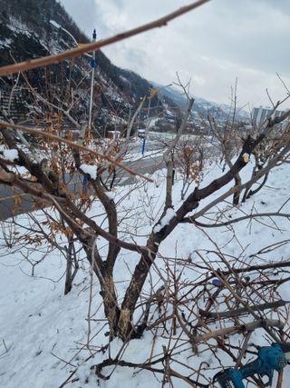 김용대님의 자유주제 · 자유게시판 작성글 사진