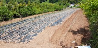 와이에스님의 농지취득규제, 완화 찬성 vs 완화 반대 · 참여글 작성글 사진