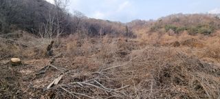 정수식님의 농지취득규제, 완화 찬성 vs 완화 반대 · 참여글 작성글 사진