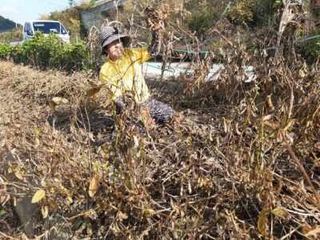 김지수님의 농지취득규제, 완화 찬성 vs 완화 반대 · 참여글 작성글 사진