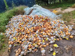 장재농원 최재석님의 자유주제 · 자유게시판 작성글 사진