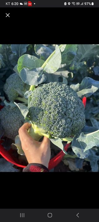 김화석님의 농지취득규제, 완화 찬성 vs 완화 반대 · 참여글 작성글 사진