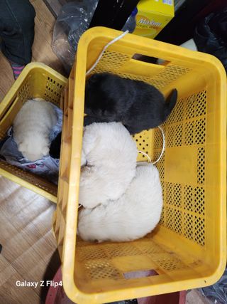 한이수님의 자유주제 · 자유게시판 작성글 사진