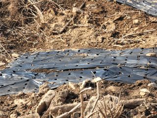 박헌님의 농지취득규제, 완화 찬성 vs 완화 반대 · 참여글 작성글 사진