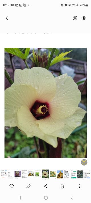 정찬영님의 자유주제 · 자유게시판 작성글 사진