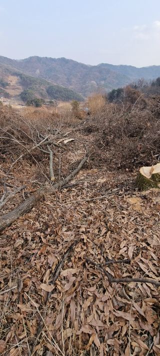 정수식님의 농지취득규제, 완화 찬성 vs 완화 반대 · 참여글 작성글 사진