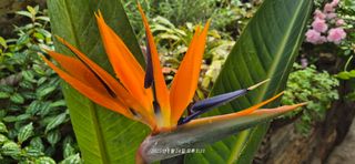 달맛햇복숭아농원님의 자유주제 · 사진전 작성글 사진