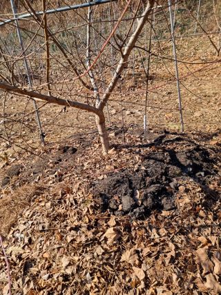 고봉농원 김경수님의 나만의 건강관리 비결 · 참여글 작성글 사진