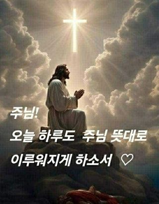 SOUL님의 자유주제 · 자유게시판 작성글 사진