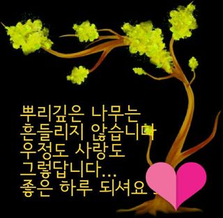 (팽나무*공주)님의 자유주제 · 자유게시판 작성글 사진