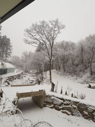 귀촌인정찬영님의 자유주제 · 자유게시판 작성글 사진