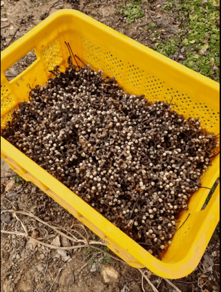 조새힘님의 자유주제 · 자유게시판 작성글 사진