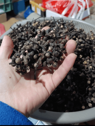 조새힘님의 자유주제 · 자유게시판 작성글 사진