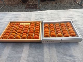 토마토6893님의 감 · 자유게시판 작성글 사진