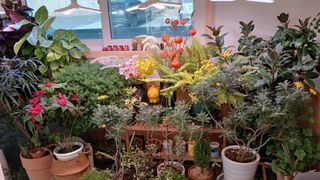 안선주님의 자유주제 · 자유게시판 작성글 사진