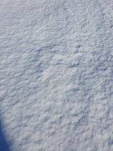 팜모닝 나만의 건강관리 비결·참여글 게시글 이미지