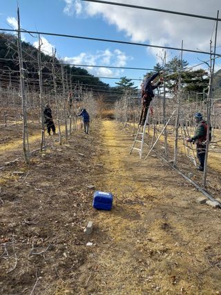 임외자님의 자유주제 · 자유게시판 작성글 사진