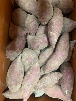 조영순님의 작성글 사진