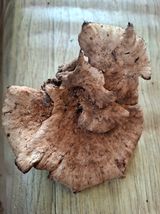 팜모닝 자유주제·자유게시판 게시글 이미지