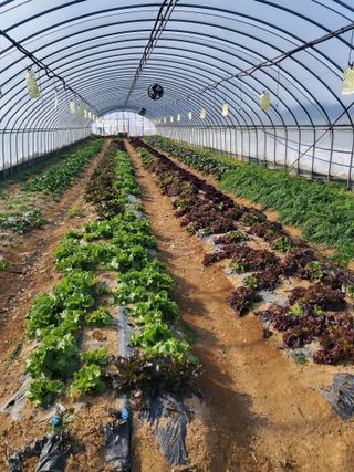 서정훈 님의 농지취득규제, 완화 찬성 vs 완화 반대 · 참여글 작성글 사진