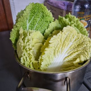 백현호님의 자유주제 · 자유게시판 작성글 사진