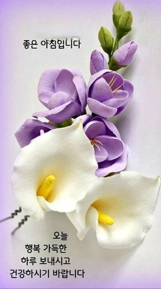 명장박세태님의 작성글 사진