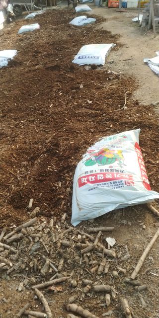 한철호님의 포도 · 영농일지 작성글 사진