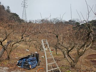 토종님의 자유주제 · 자유게시판 작성글 사진