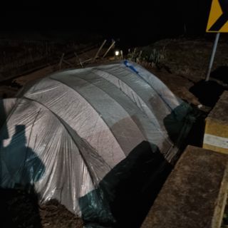 백현호님의 자유주제 · 자유게시판 작성글 사진