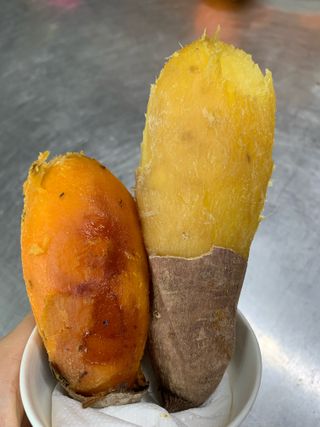 조영순님의 작성글 사진