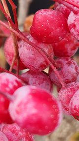 팜모닝 · 게시글 이미지