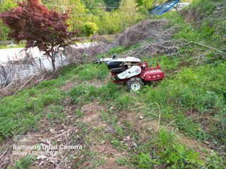 한철호님의 포도 · 영농일지 작성글 사진
