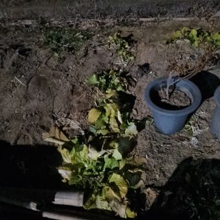 백현호님의 자유주제 · 자유게시판 작성글 사진