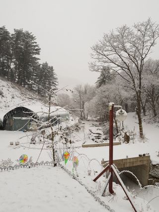 귀촌인정찬영님의 자유주제 · 자유게시판 작성글 사진