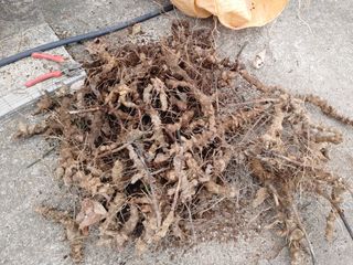 이현상님의 자유주제 · 자유게시판 작성글 사진