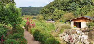 함영숙 님의 농지취득규제, 완화 찬성 vs 완화 반대 · 참여글 작성글 사진