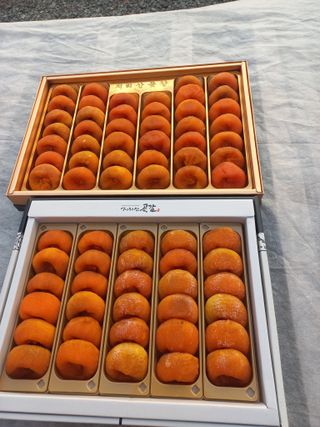 토마토6893님의 감 · 자유게시판 작성글 사진