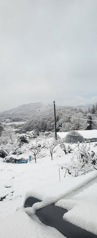 사과4293님의 농지취득규제, 완화 찬성 vs 완화 반대 · 참여글 작성글 사진