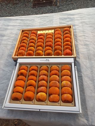 토마토6893님의 감 · 자유게시판 작성글 사진