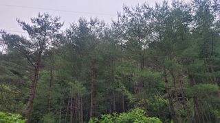 상추12920님의 농지취득규제, 완화 찬성 vs 완화 반대 · 참여글 작성글 사진