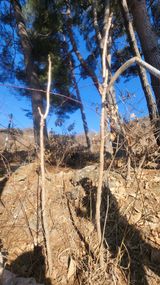 팜모닝 자유주제·자유게시판 게시글 이미지