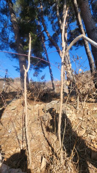 정미리님의 자유주제 · 자유게시판 작성글 사진