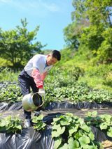 팜모닝 농지취득규제, 완화 찬성 vs 완화 반대·참여글 게시글 이미지