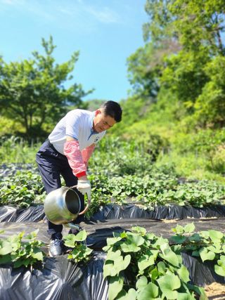 고영희님의 농지취득규제, 완화 찬성 vs 완화 반대 · 참여글 작성글 사진