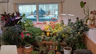 안선주님의 자유주제 · 자유게시판 작성글 사진