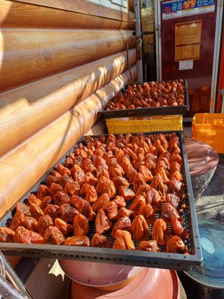 강뢰성님의 농지취득규제, 완화 찬성 vs 완화 반대 · 참여글 작성글 사진