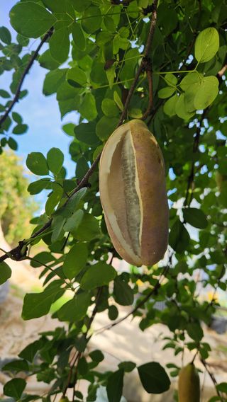 이후성님의 작성글 사진
