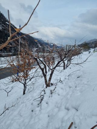 김용대님의 자유주제 · 자유게시판 작성글 사진