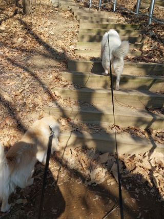 백호맘님의 나만의 건강관리 비결 · 참여글 작성글 사진
